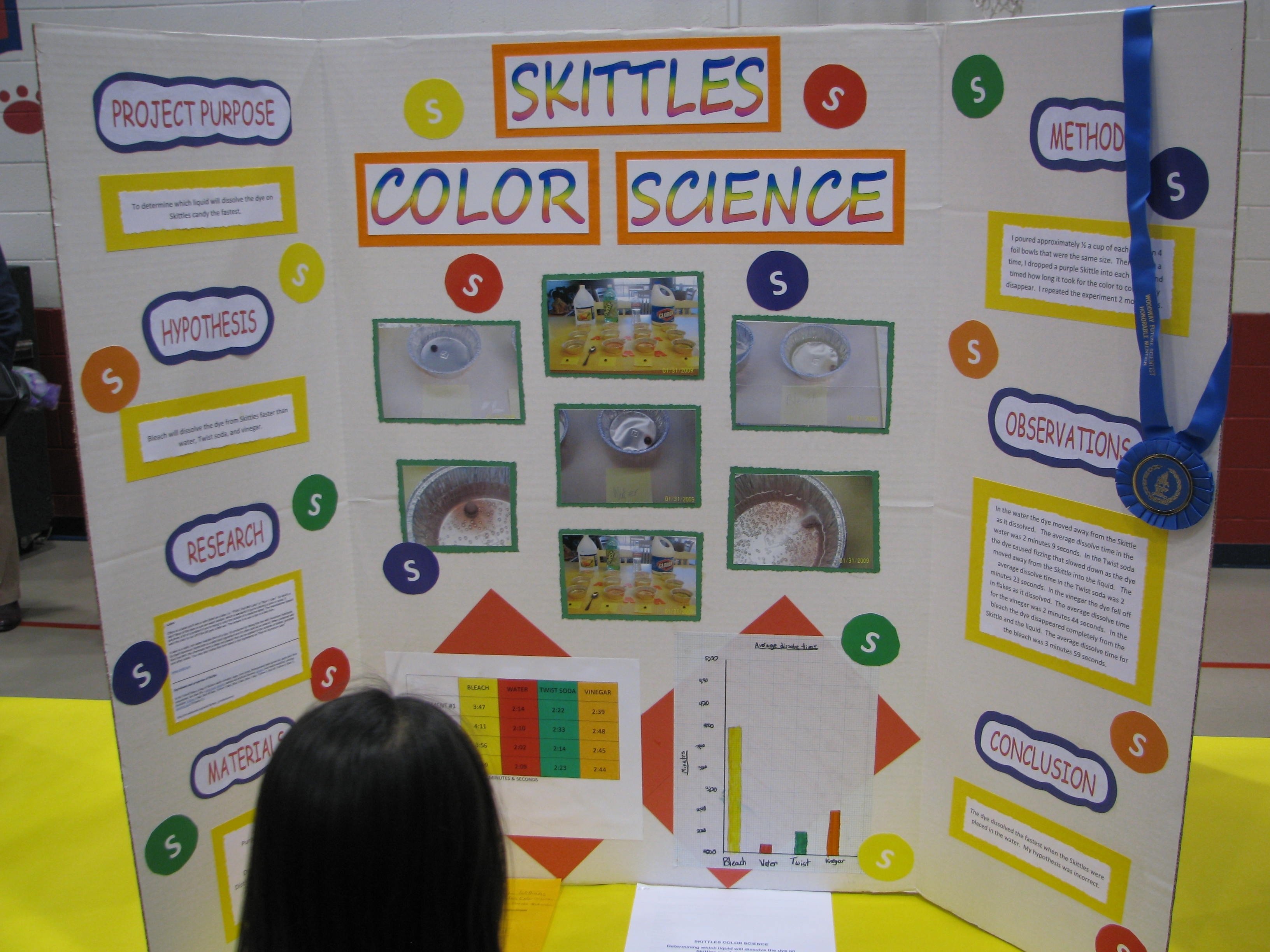 10 Cute Science Project Ideas For Kids 2024