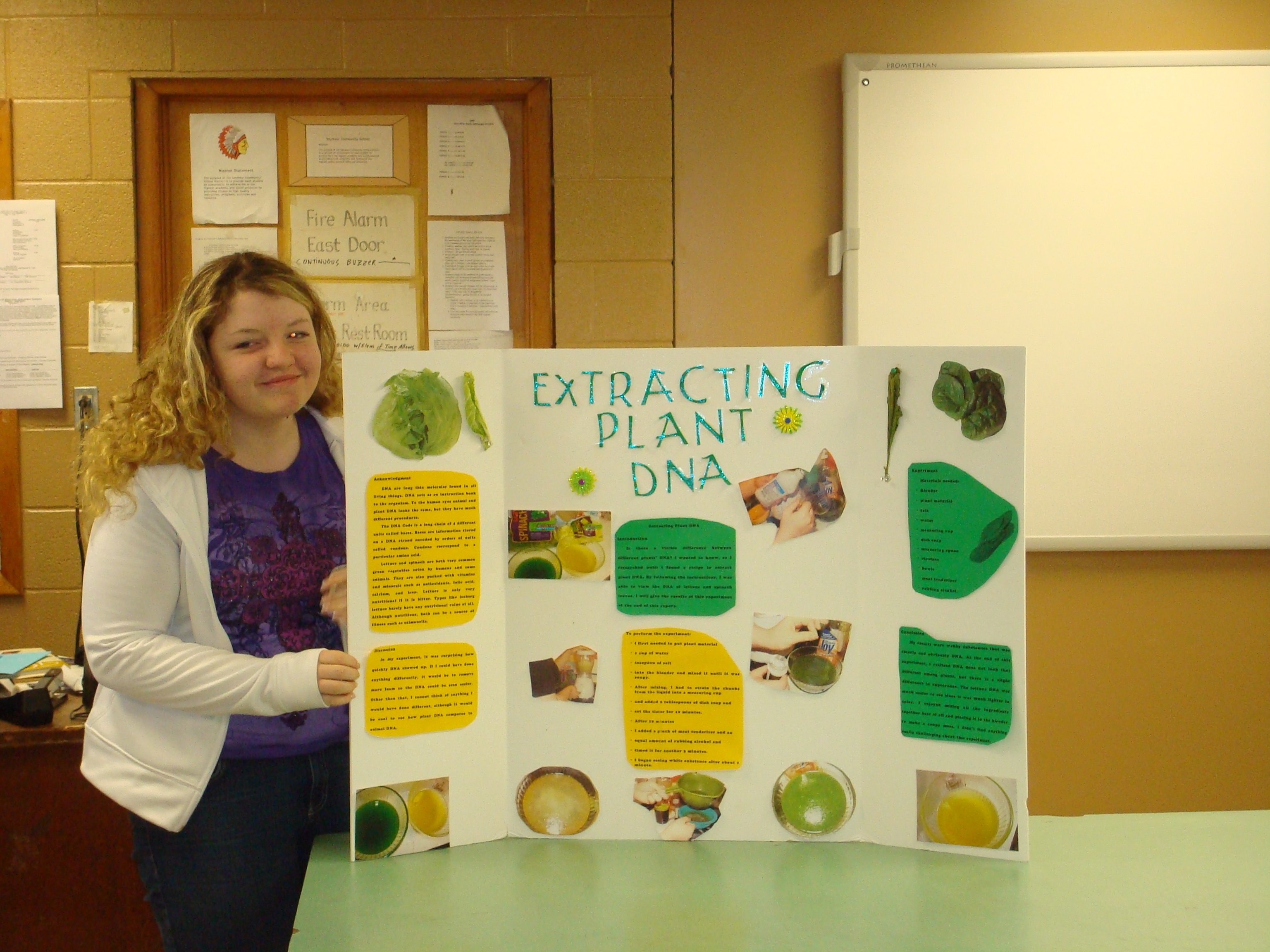 10 Unique Easy 8Th Grade Science Fair Project Ideas 2024