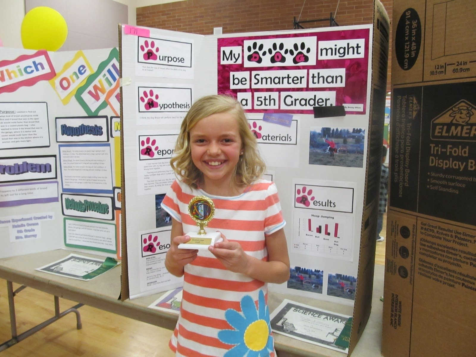 10 Awesome Science Fair Ideas For 5Th Grade 2023