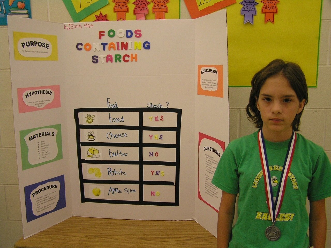 Science Fair Projects Ideas 3rd Grade