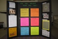science project on optical illusion | school projects and craft