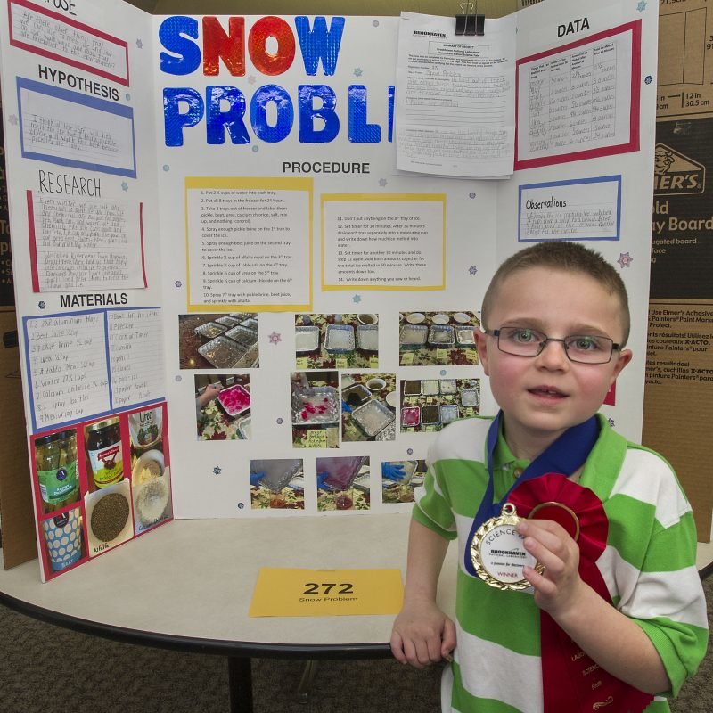 10-pretty-elementary-school-science-fair-project-ideas-2023