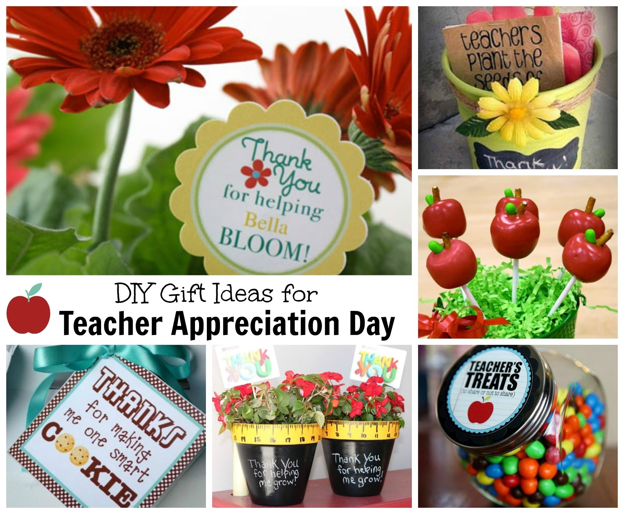 10 Awesome Teachers Appreciation Day Gift Ideas 2024
