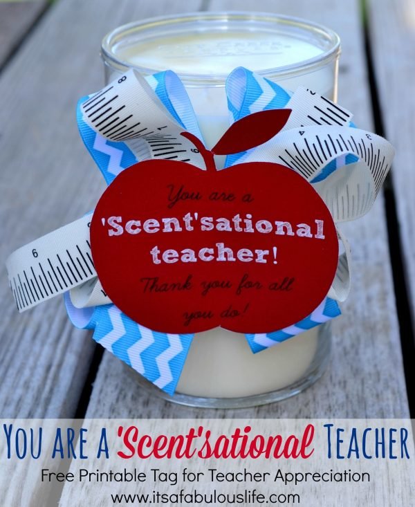 10 Most Recommended Cute Ideas For Teacher Appreciation Week 2021