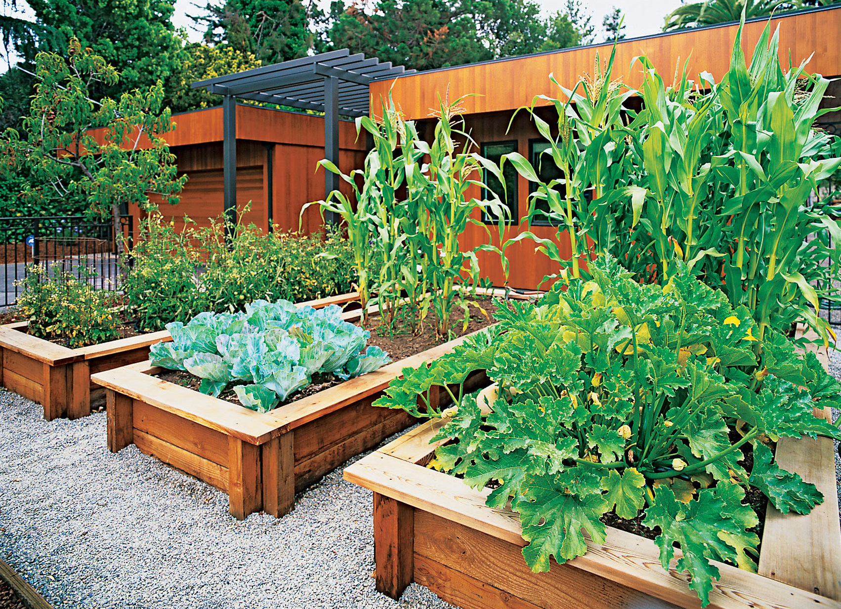 Small Front Yard Vegetable Garden Ideas